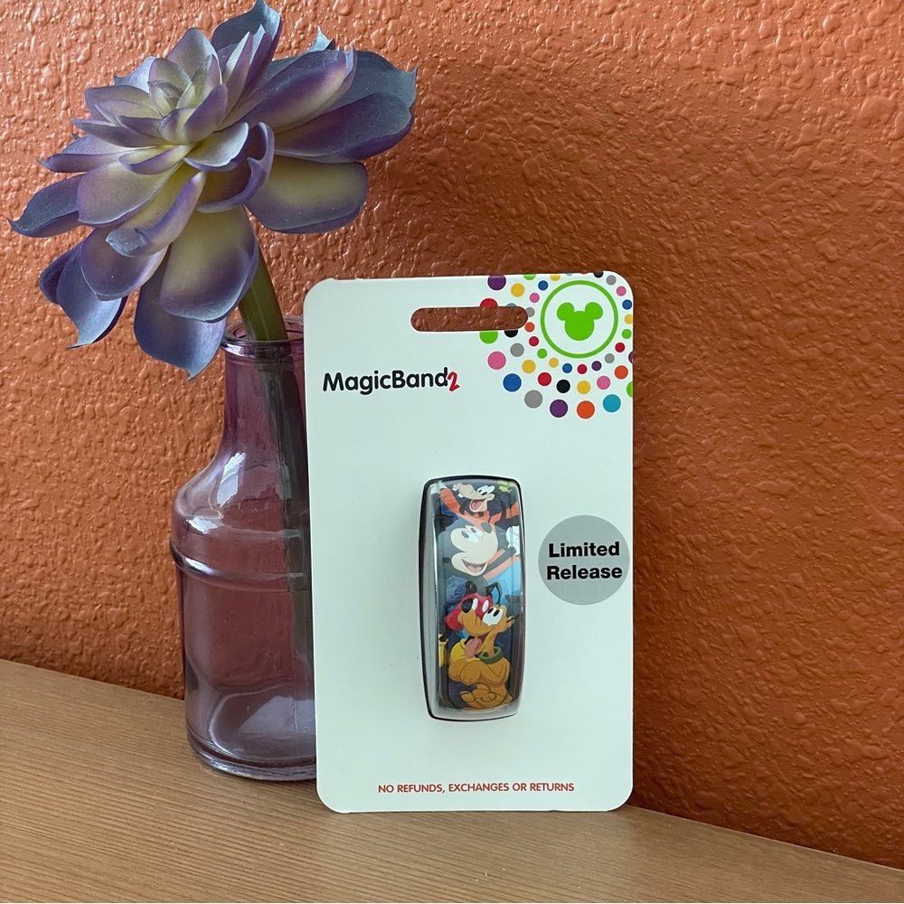 Disney 2019 limited release Mickey and friends MagicBand2 magic band